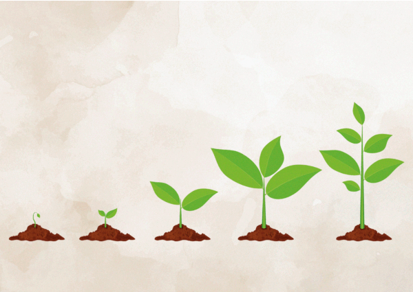 Choosing Sustainable Growth over Scalability: A New Approach to Startups